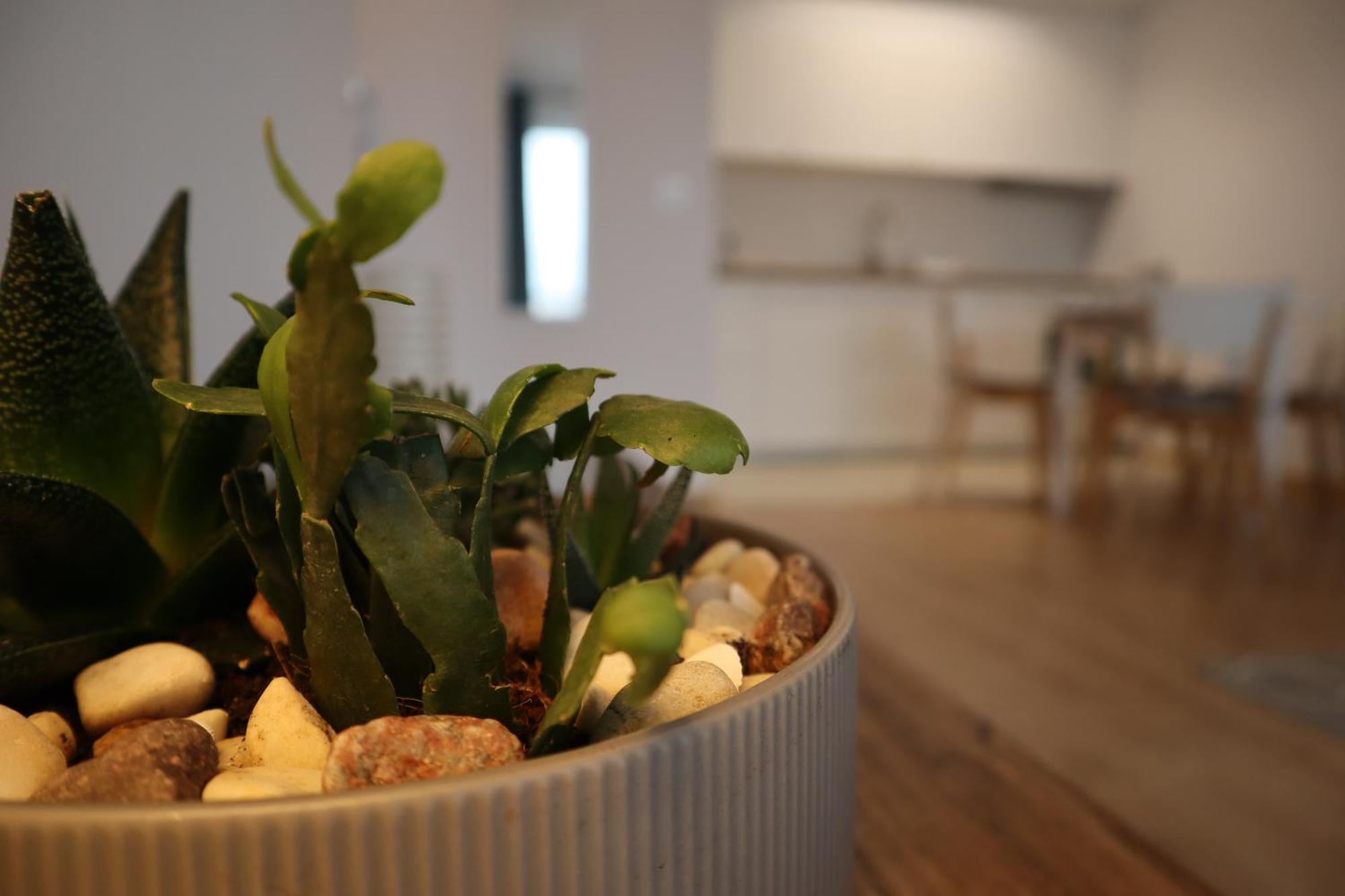 Apartament Na Ptasiej Gdańsk Extérieur photo